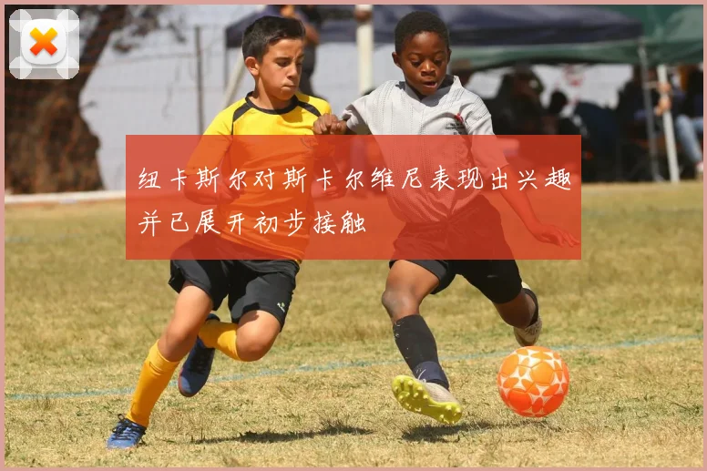 纽卡斯尔对斯卡尔维尼表现出兴趣并已展开初步接触