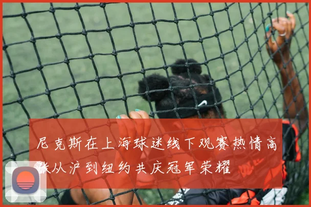 尼克斯在上海球迷线下观赛热情高涨从沪到纽约共庆冠军荣耀